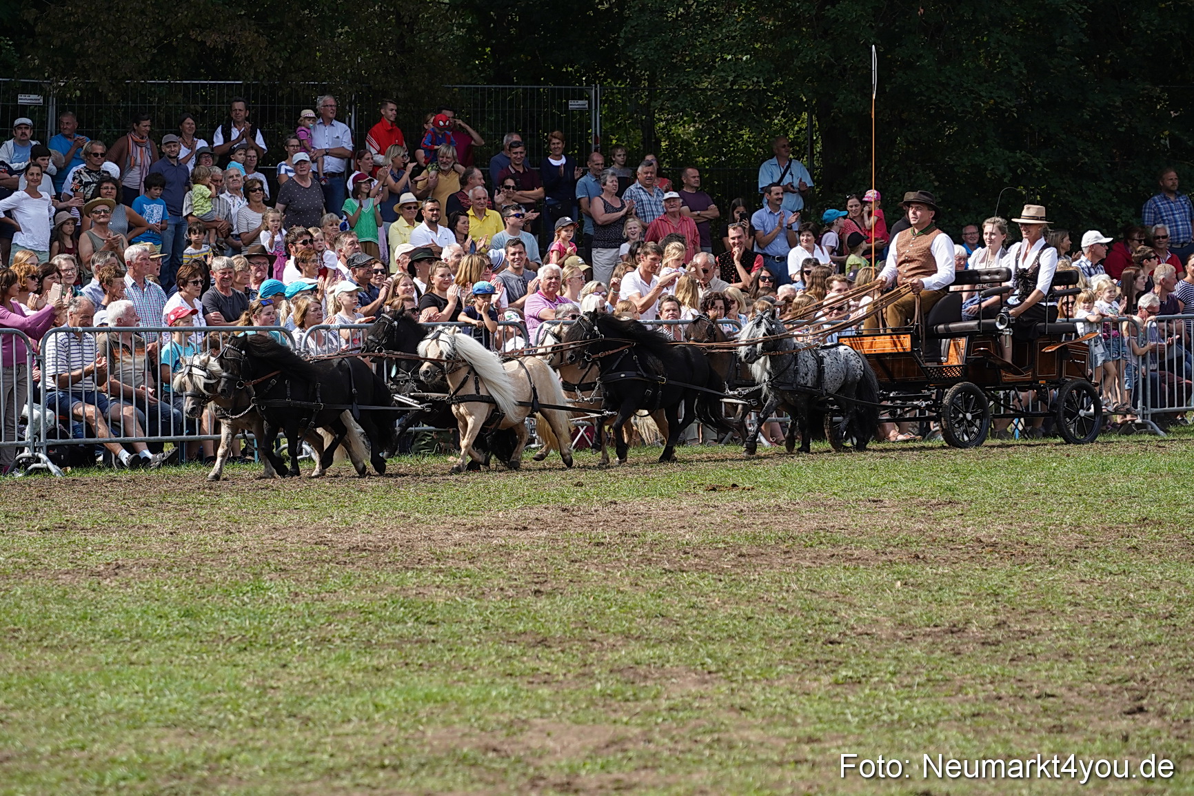 Pferde und Fohlenschau 2022 0286 